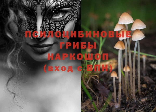 круглые Алзамай