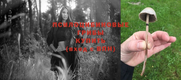 круглые Алзамай