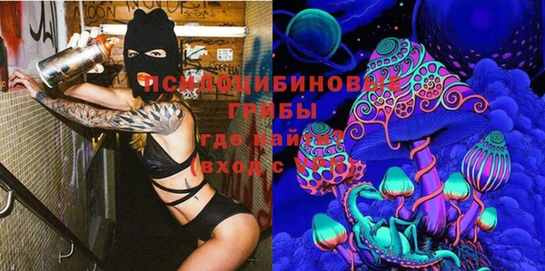 круглые Алзамай