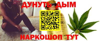сатива Шахты