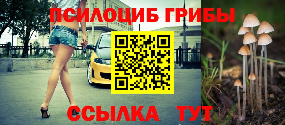 Галлюциногенные грибы Psilocybe Алексин