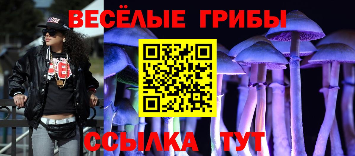 Псилоцибиновые грибы Magic Shrooms  Вход с VPN  Алексин 